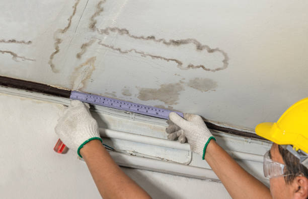 Reliable Mold Remediation contractor in Faxon, OK by Water Damage Irwin